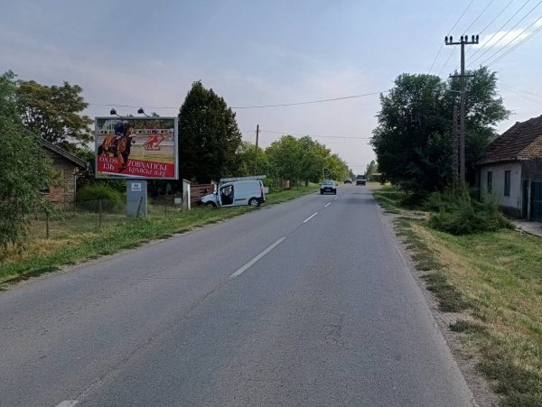 BAČKA TOPOLA  BT01b - Image 3